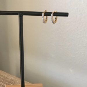 Oorringetjes Maansteen