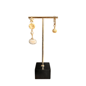 Zeester en Shells asymmetrisch