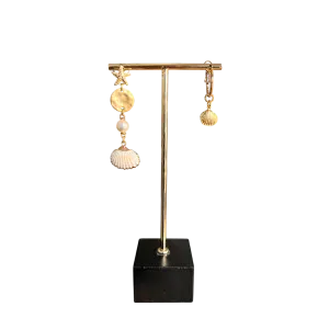 Zeester en Shells asymmetrisch