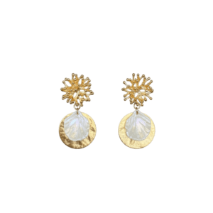 Coral & Shells