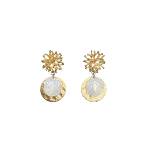 Coral & Shells