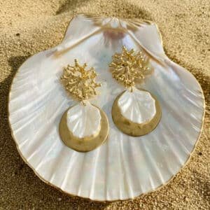 Coral & Shells