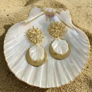 Coral & Shells