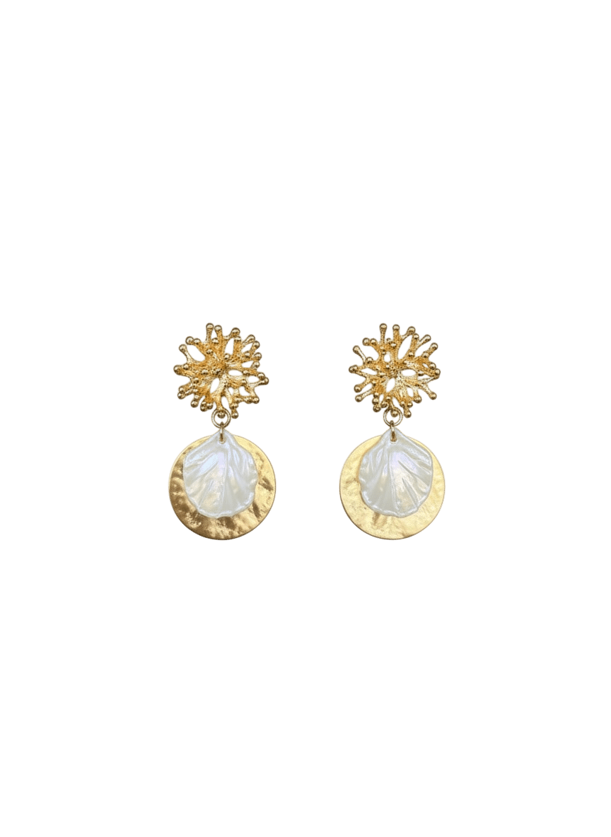 Coral & Shells