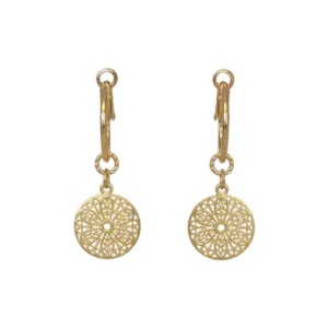 Goldplated Coins